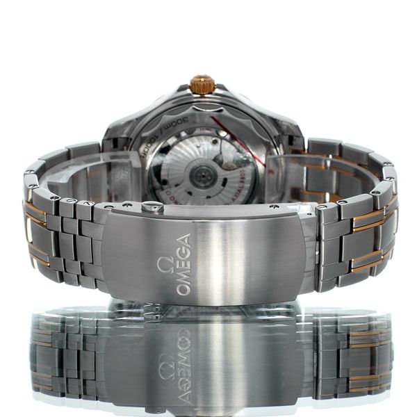 Omega Seamaster Diver 300m 210.20.42.20.01.002